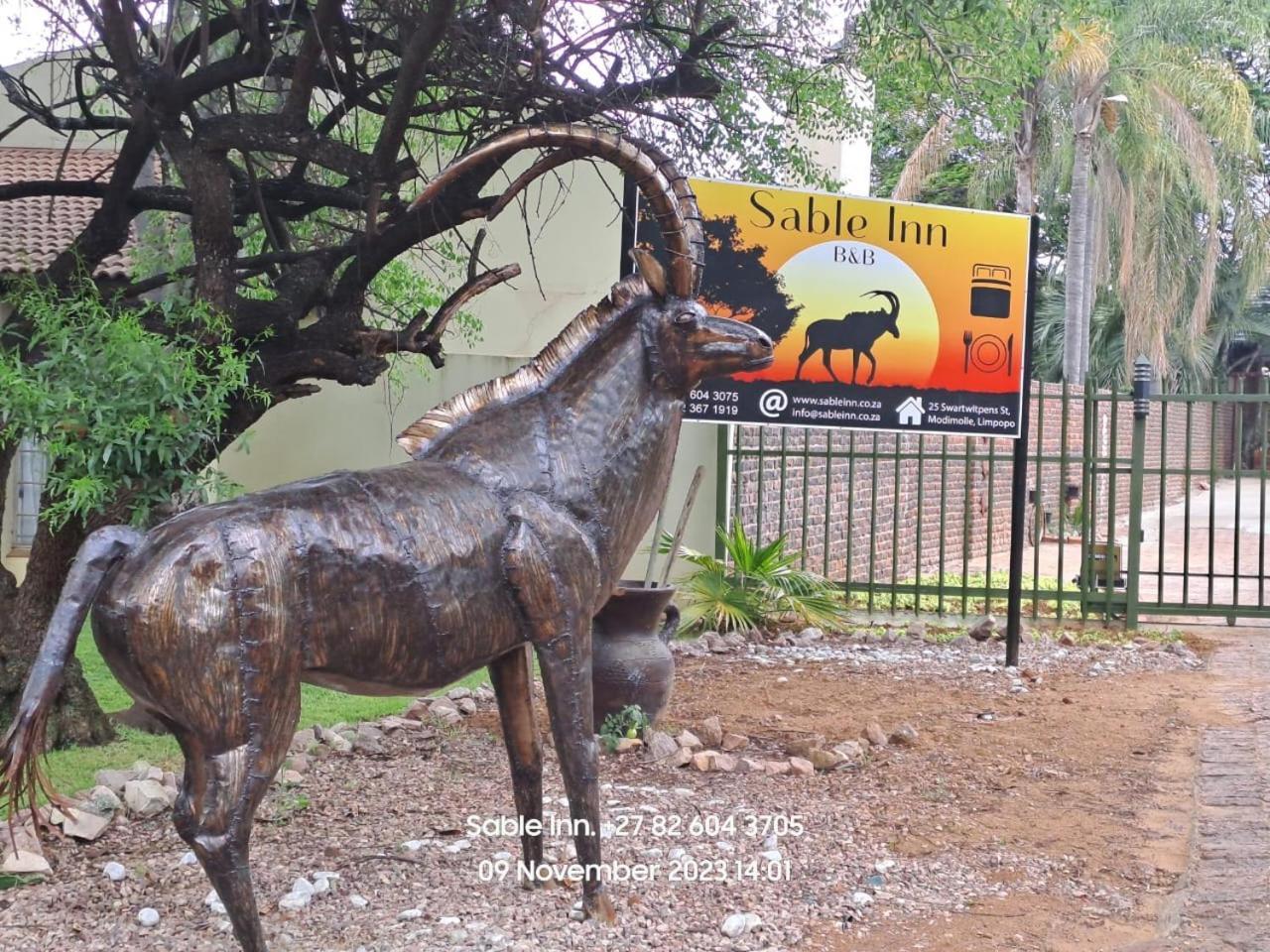 Sable Inn B&B Модімолле Екстер'єр фото